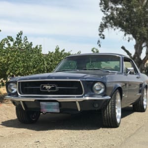 ginos 67 coupe 6