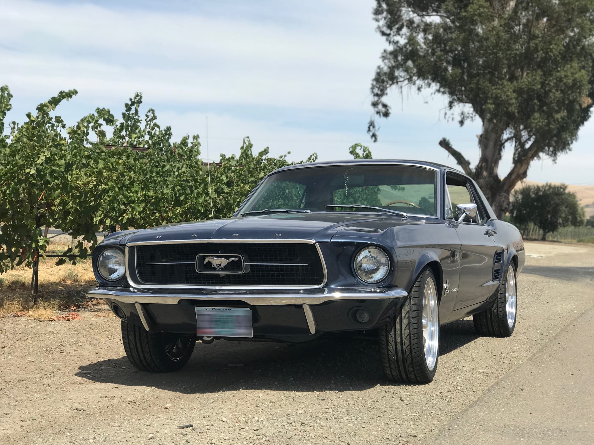 ginos 67 coupe 6